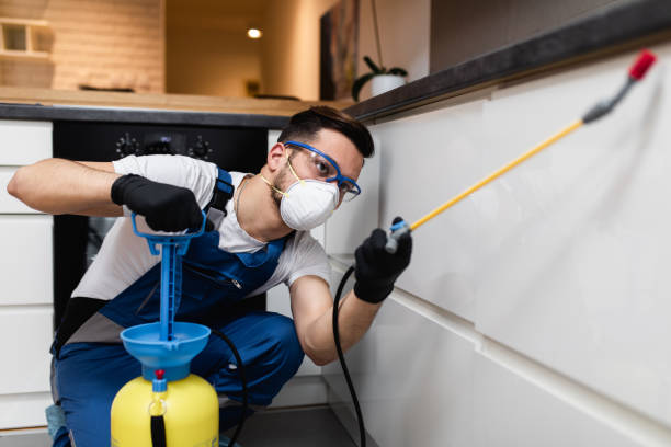 Best Affordable Pest Control Services  in Des Moines, IA