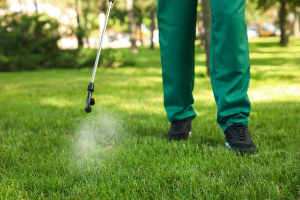 Best Ant Control Services  in Des Moines, IA