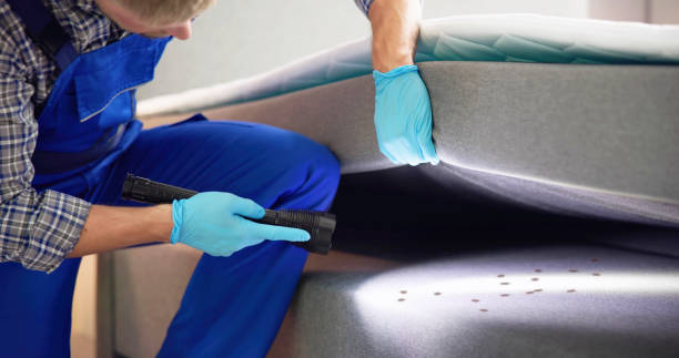 Flea Control Services in Des Moines, IA