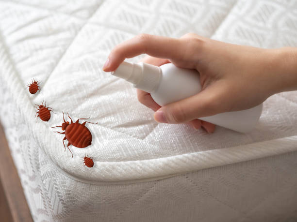 Best Insect Control  in Des Moines, IA