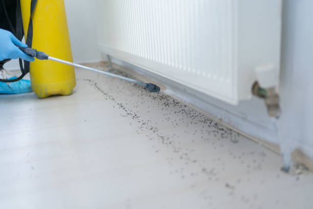 Trusted Des Moines, IA Pest Control Experts