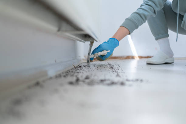 Best Bed Bug Extermination  in Des Moines, IA